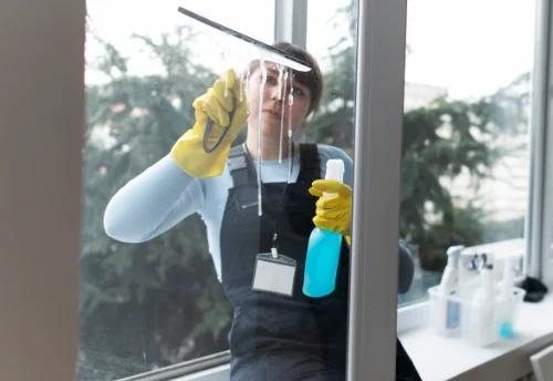Nettoyage de vitres intérieures et extérieures à Manneville-la-Goupil